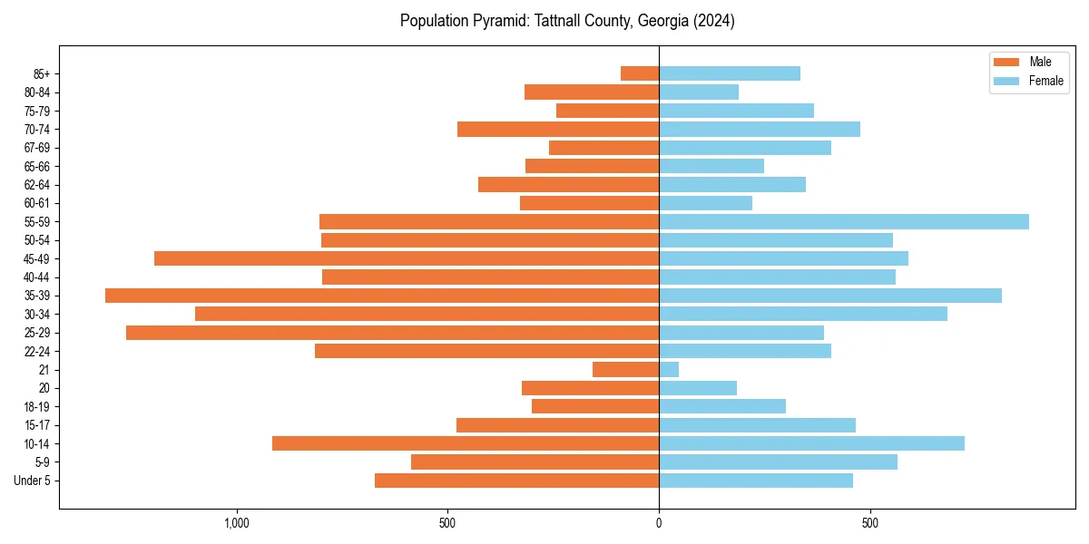 Population pyramid for 