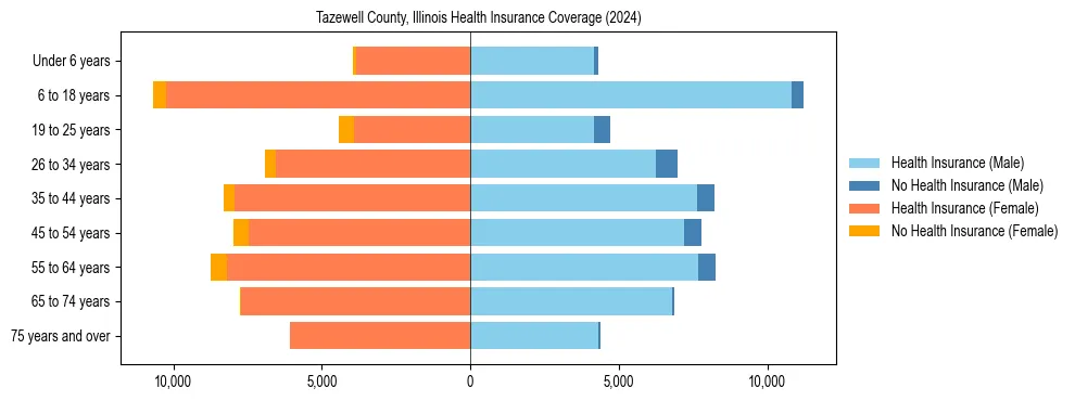Health insurance pyramid for Tazewell County, Illinois
