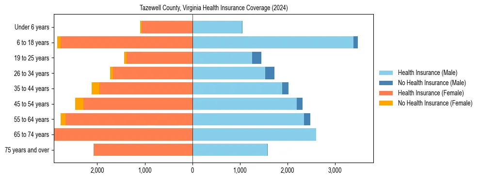 Health insurance pyramid for Tazewell County, Virginia