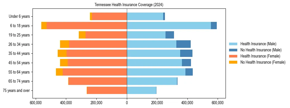 Health insurance pyramid for Tennessee