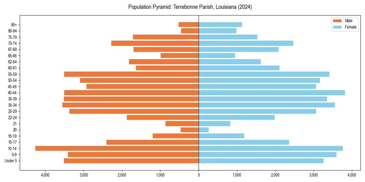 Population pyramid for 