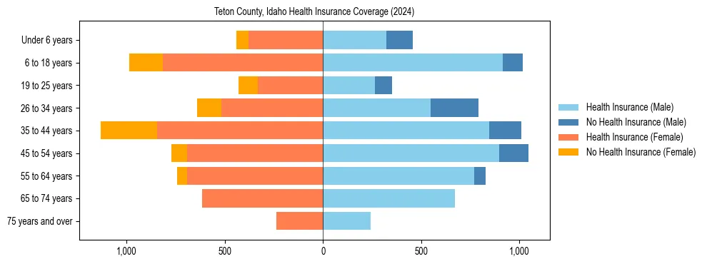 Health insurance pyramid for Teton County, Idaho