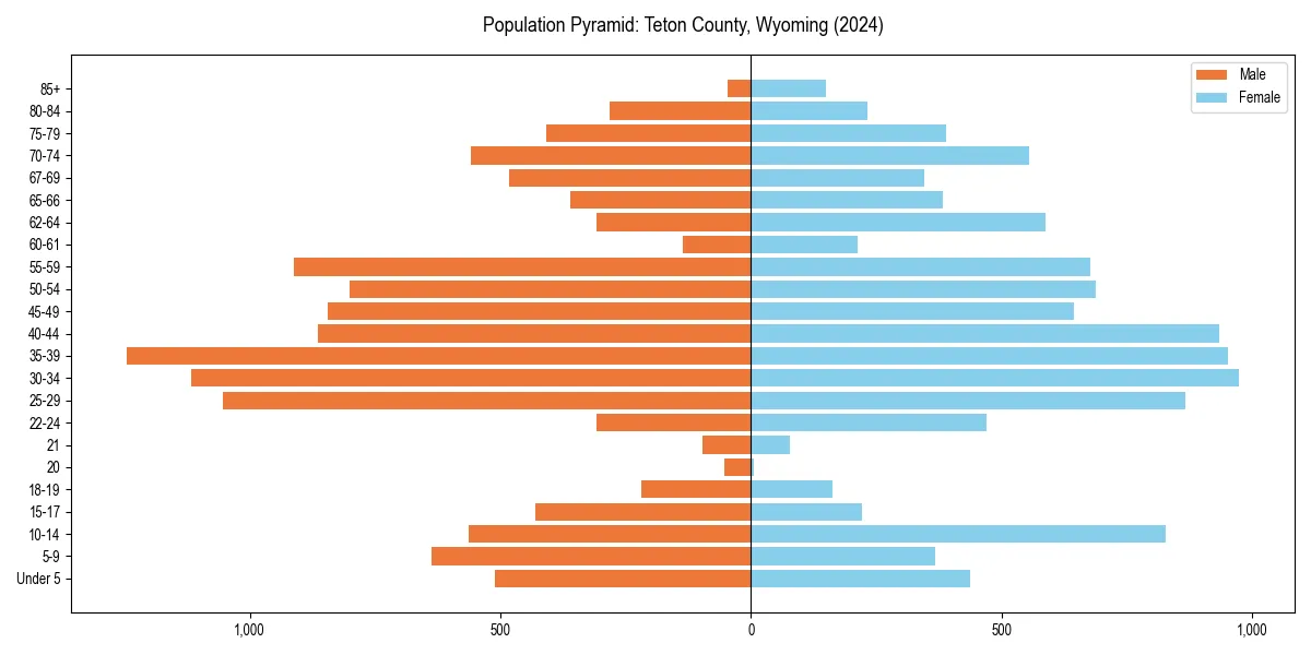 Population pyramid for 