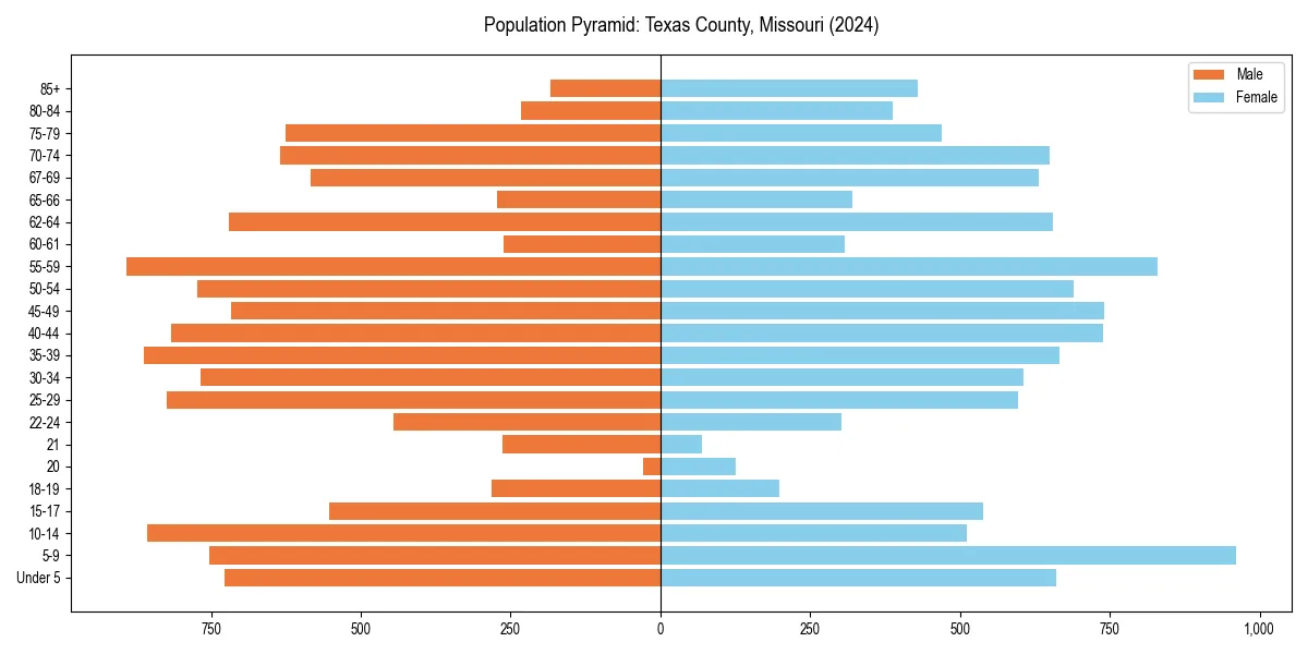 Population pyramid for 
