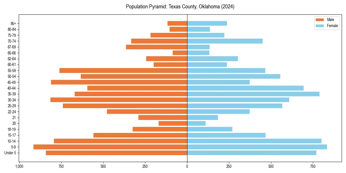 Population pyramid for 