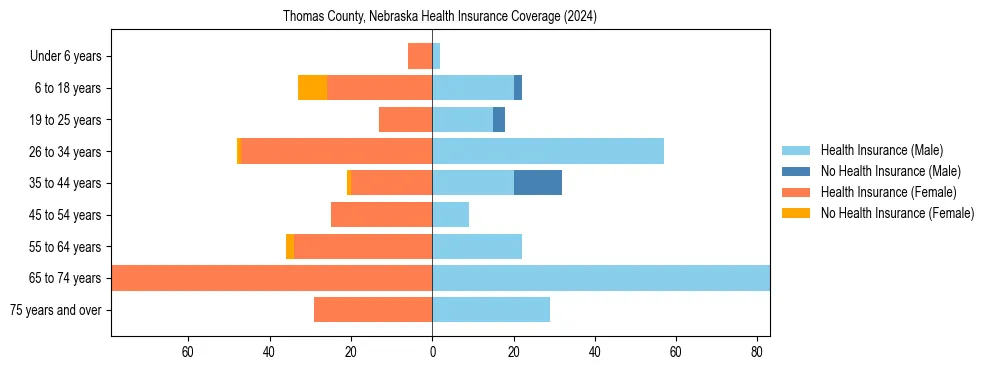 Health insurance pyramid for Thomas County, Nebraska
