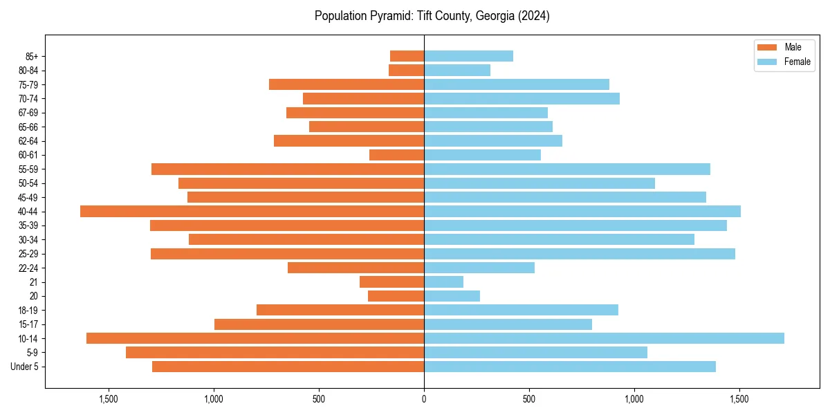 Population pyramid for 
