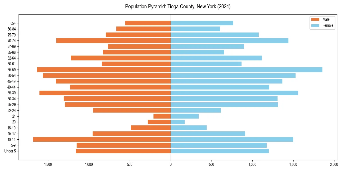 Population pyramid for 