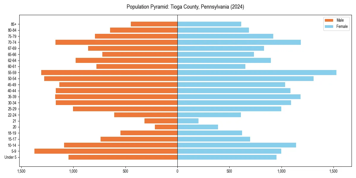 Population pyramid for 