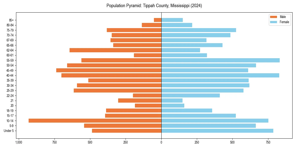 Population pyramid for 