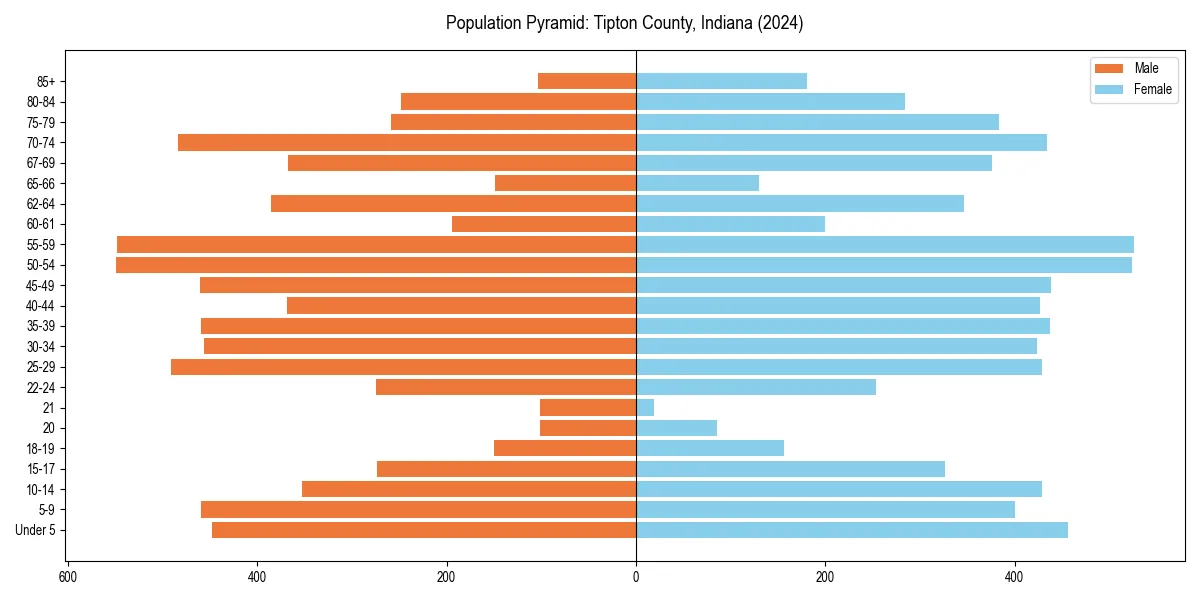 Population pyramid for 