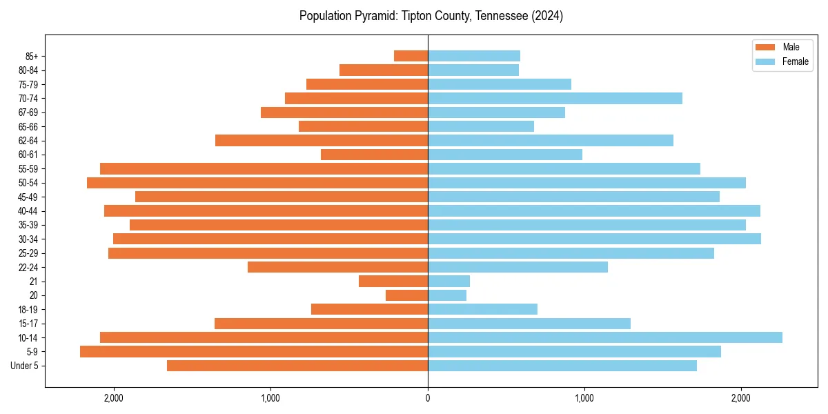Population pyramid for 