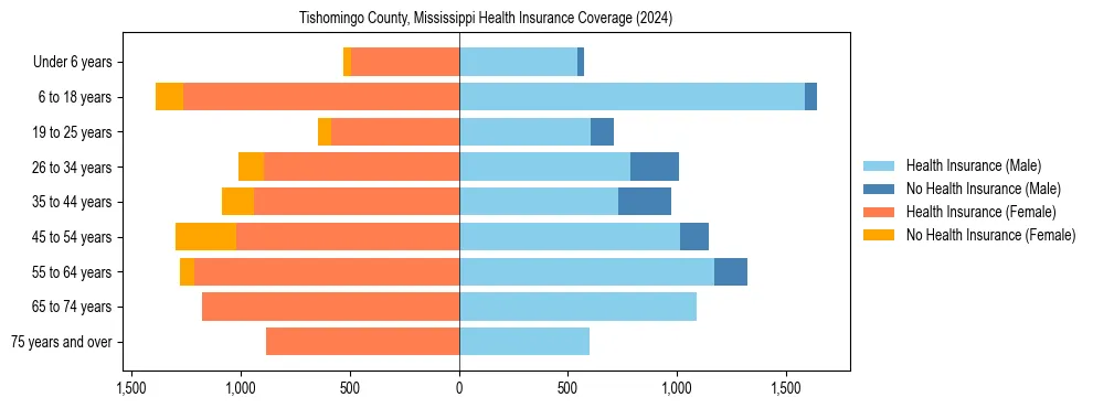Health insurance pyramid for Tishomingo County, Mississippi