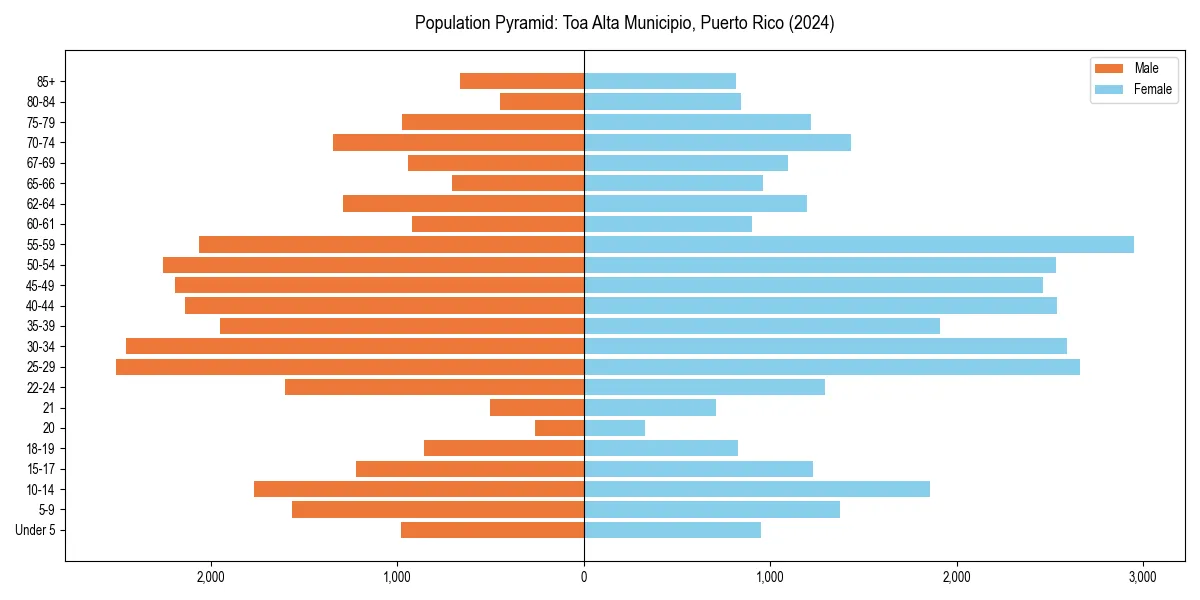 Population pyramid for 