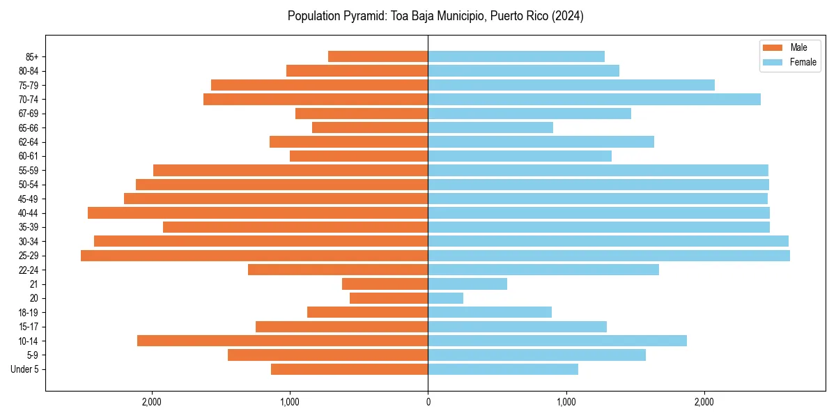 Population pyramid for 