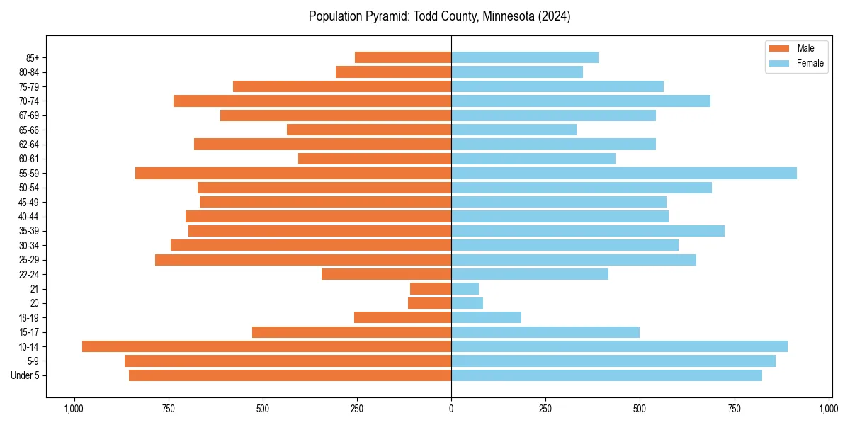 Population pyramid for 