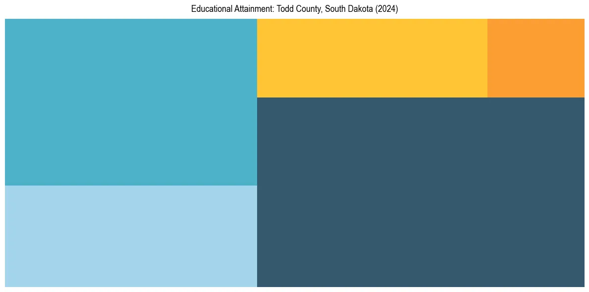 Education Treemap for  in 2024