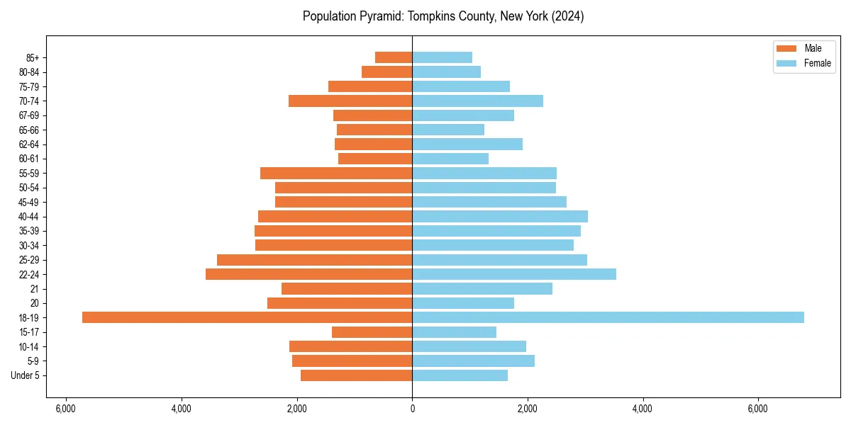 Population pyramid for 