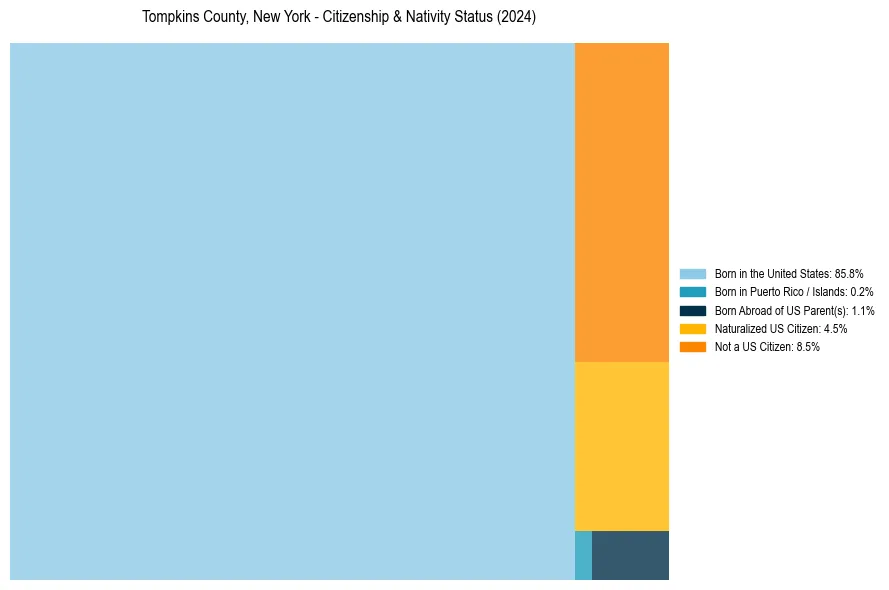 Nativity Treemap for 