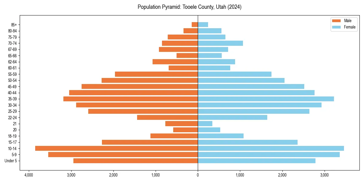Population pyramid for 