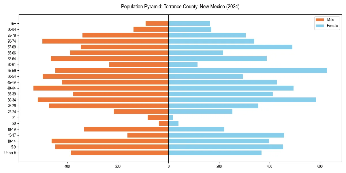 Population pyramid for 