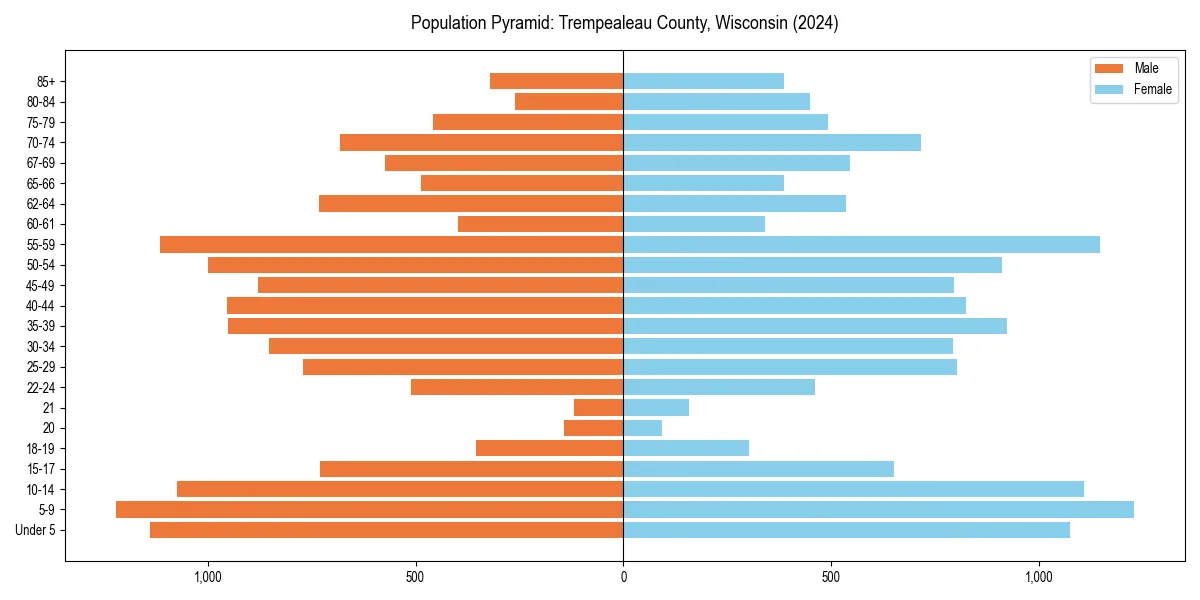 Population pyramid for 