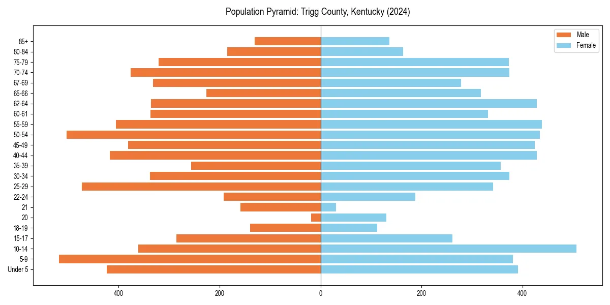 Population pyramid for 