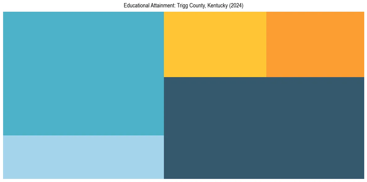 Education Treemap for  in 2024