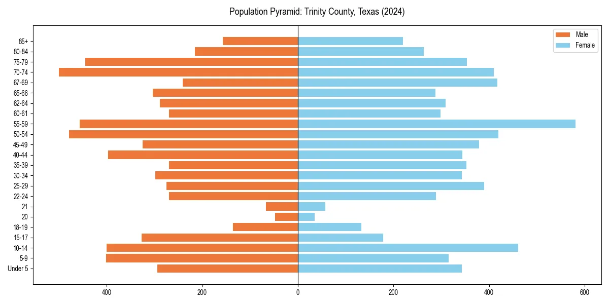 Population pyramid for 