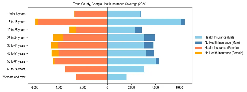 Health insurance pyramid for Troup County, Georgia