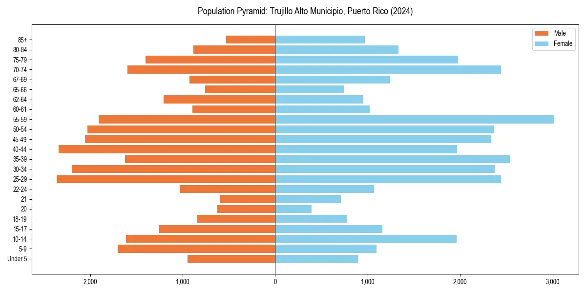 Population pyramid for 