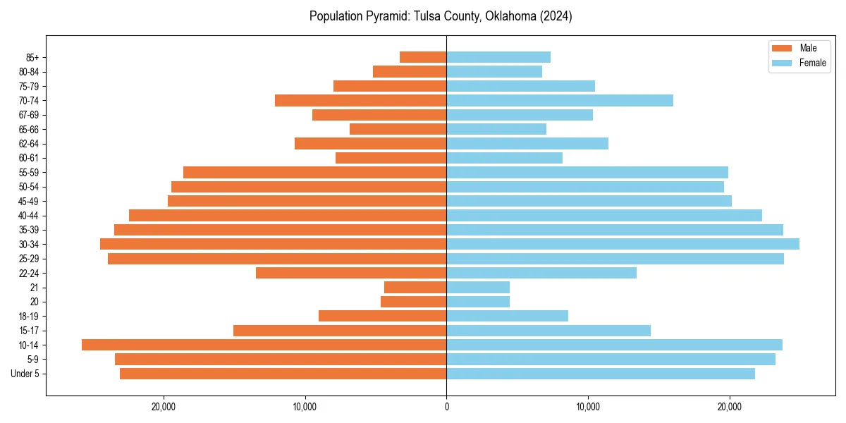 Population pyramid for 