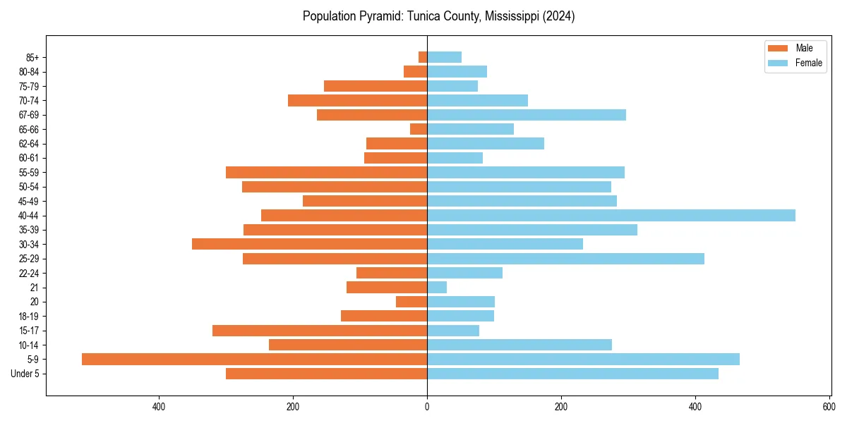 Population pyramid for 