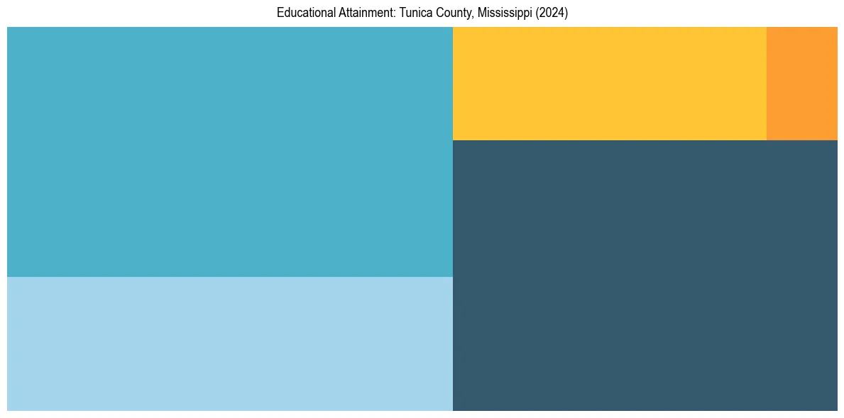 Education Treemap for  in 2024