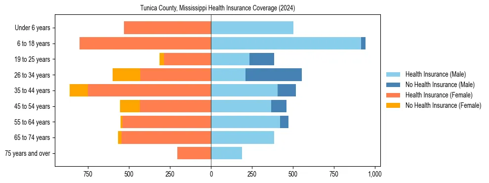 Health insurance pyramid for Tunica County, Mississippi