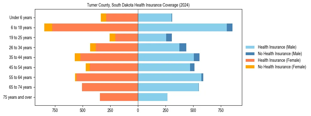 Health insurance pyramid for Turner County, South Dakota
