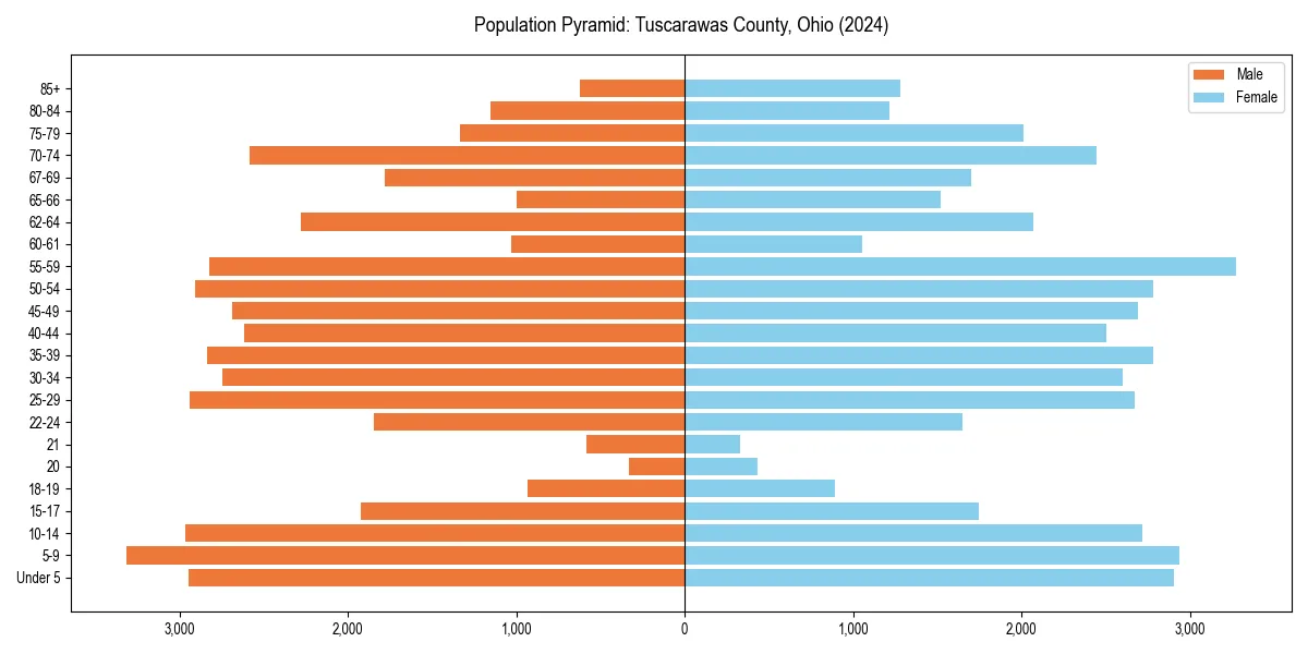 Population pyramid for 
