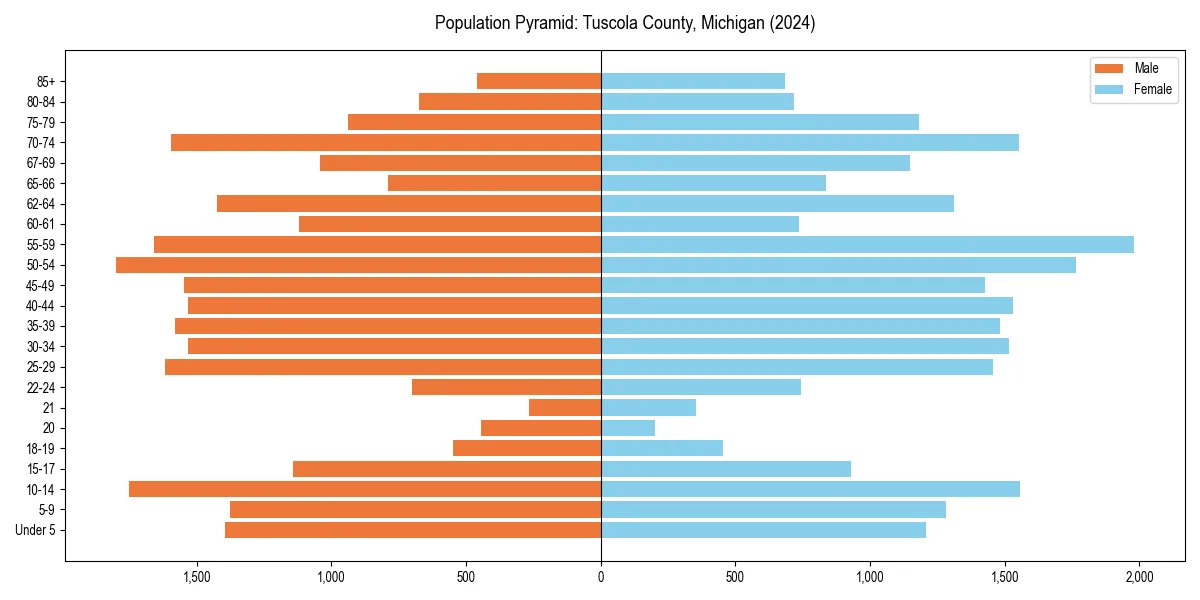 Population pyramid for 