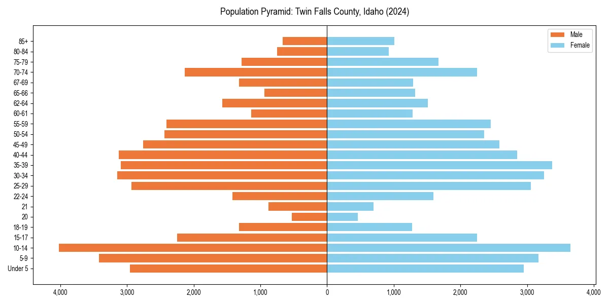 Population pyramid for 