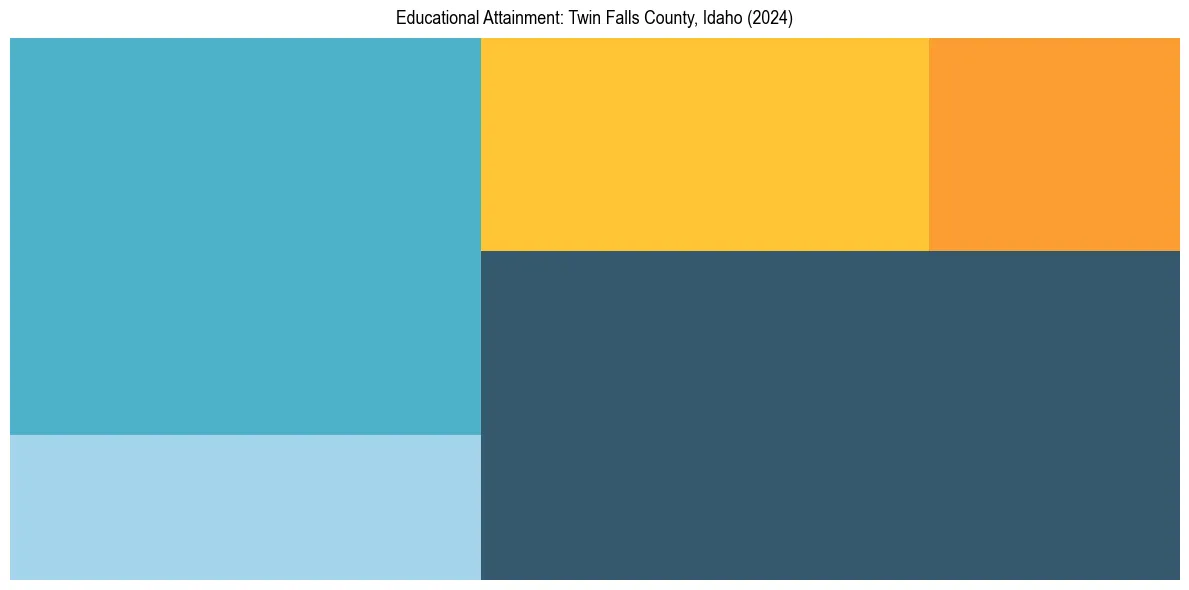 Education Treemap for  in 2024