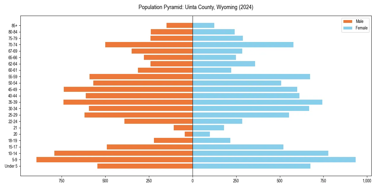 Population pyramid for 