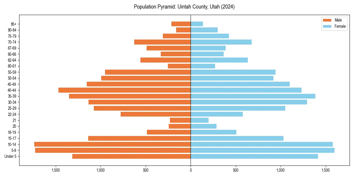 Population pyramid for 