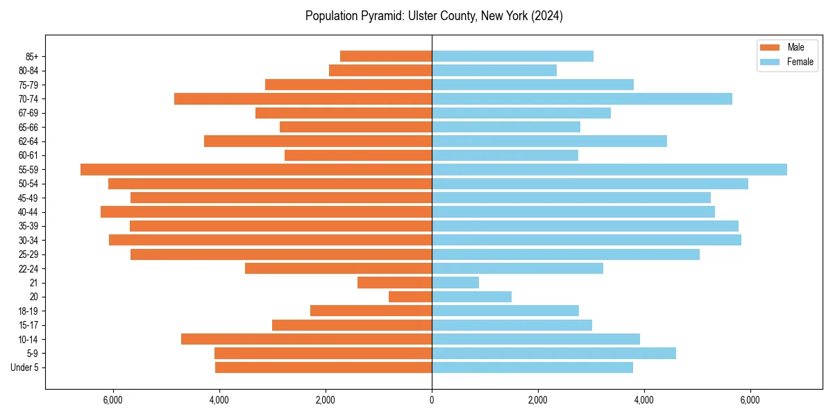 Population pyramid for 