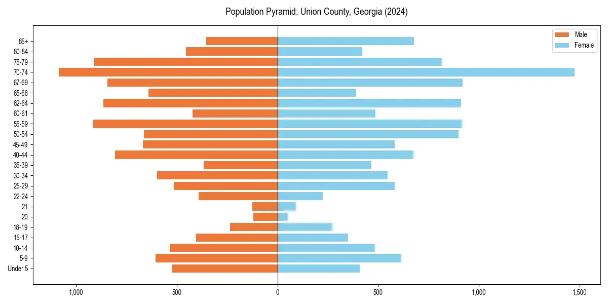 Population pyramid for 