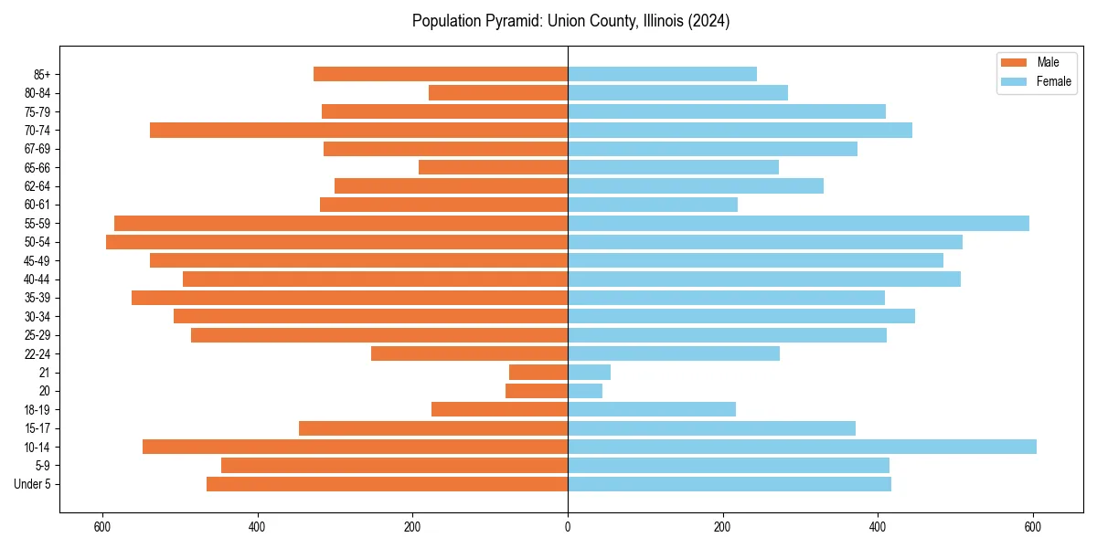 Population pyramid for 