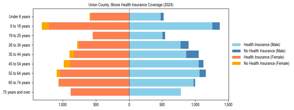 Health insurance pyramid for Union County, Illinois