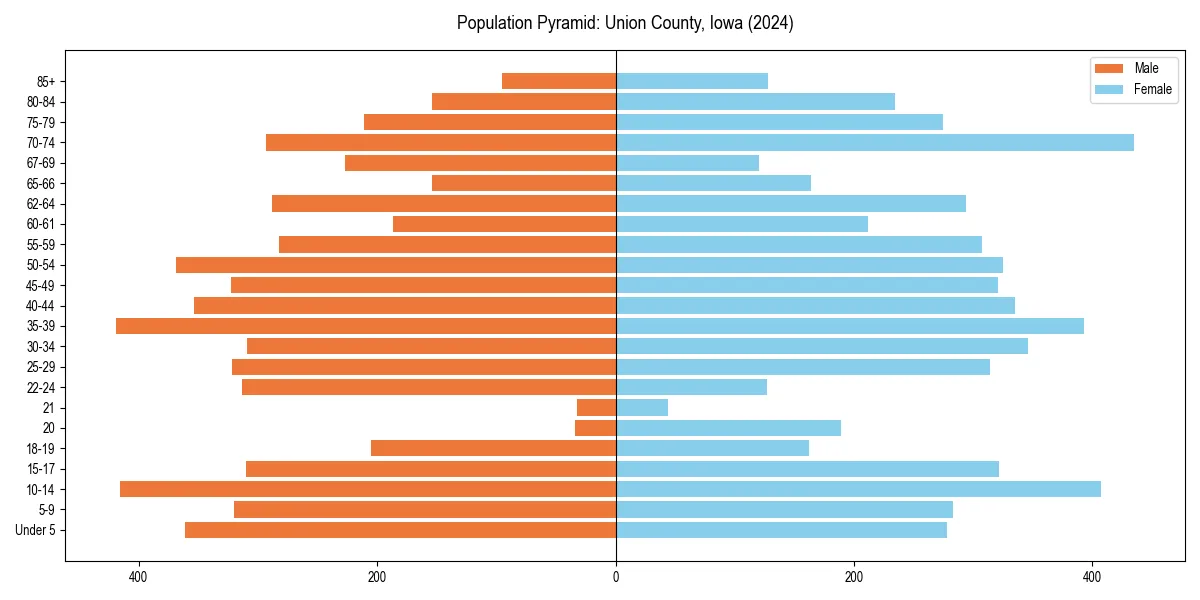 Population pyramid for 