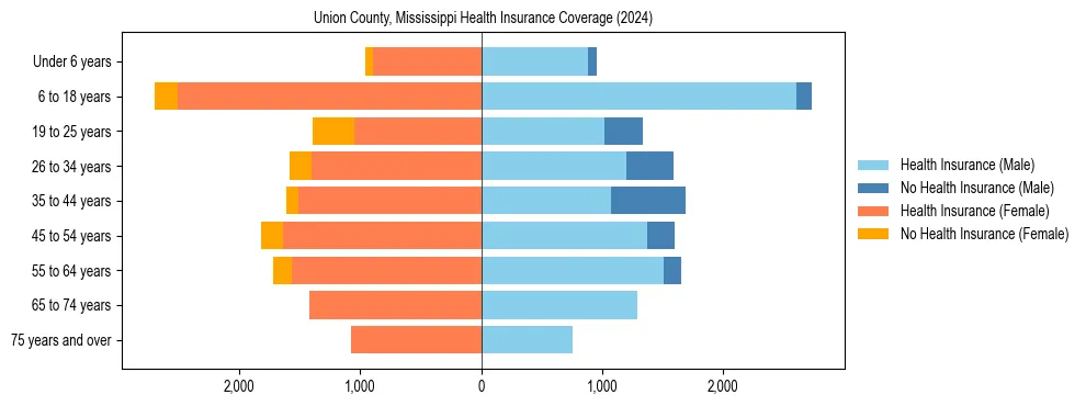 Health insurance pyramid for Union County, Mississippi