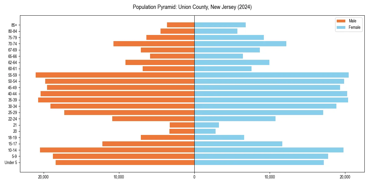 Population pyramid for 