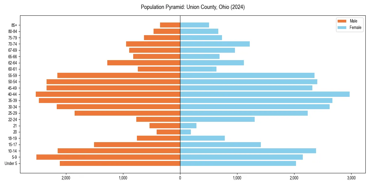 Population pyramid for 